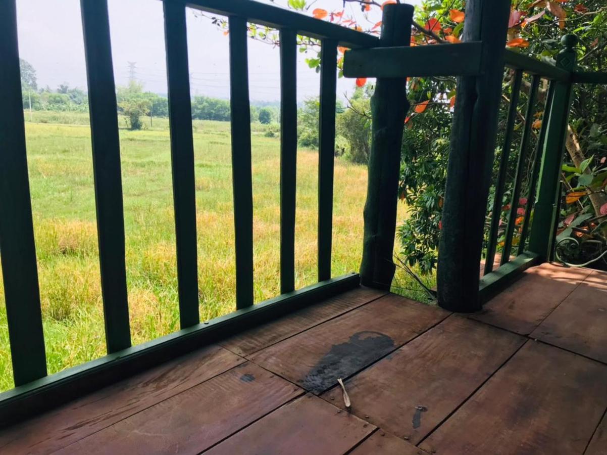 Airport Villa Kamatha -Foreign Booking Only Katunayaka Ngoại thất bức ảnh